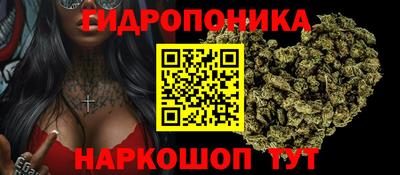 jwh Краснодар