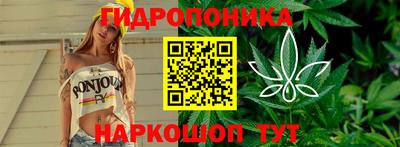 jwh Краснодар